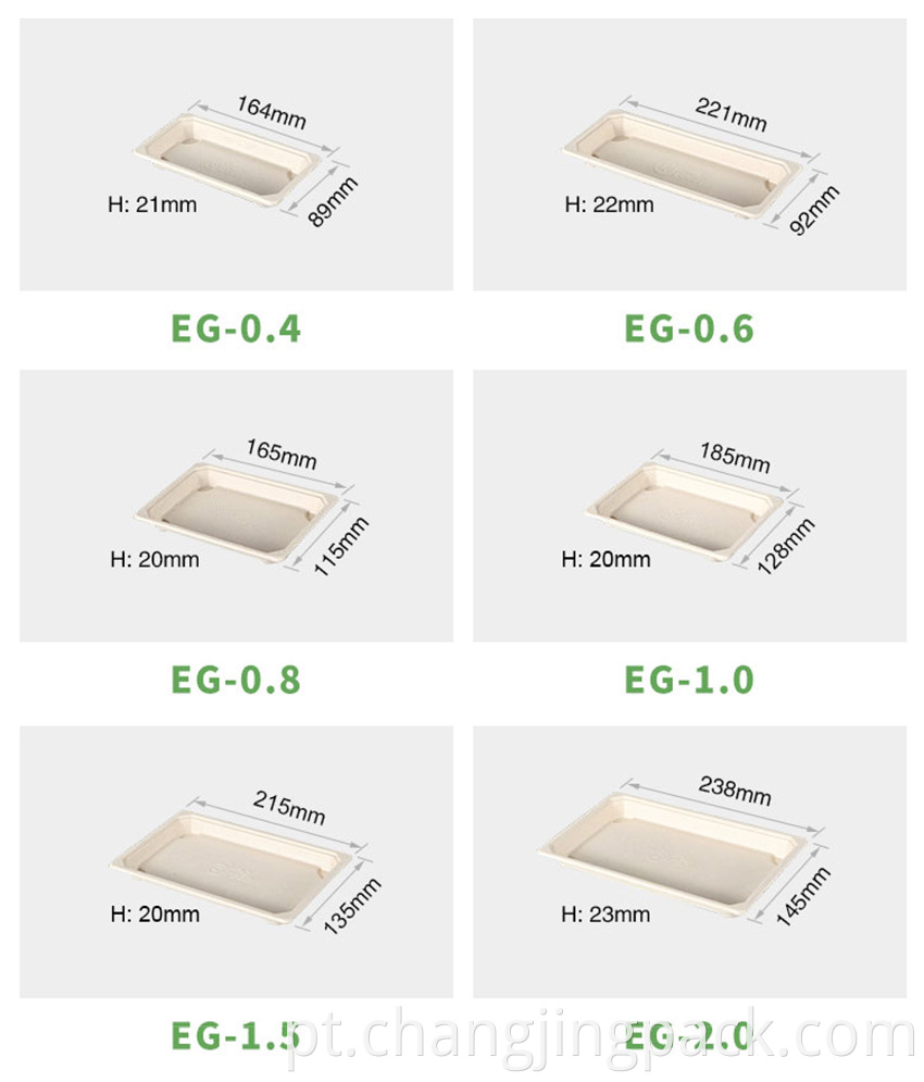 Bagasse Food Container